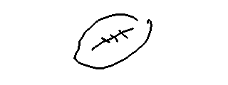 Evan's painting of College Football: Oregon Ducks at. Penn State Nittany Lions