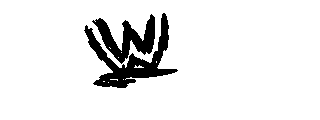 CTRDash's painting of WWE NXT